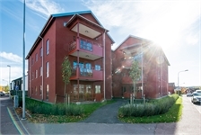 Image missing alt text