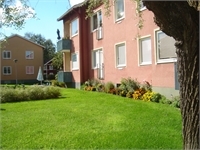 Image missing alt text