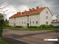 Image missing alt text