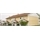 /Global/DisplayMultimediaDescription.ashx?guid=915baf17-cf9e-43a5-9954-a18624c43c71