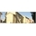 /Global/DisplayMultimediaDescription.ashx?guid=c83377c0-871d-412c-8f3a-e3bbf9e97da8
