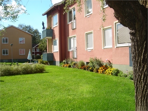 /Global/DisplayMultimediaDescription.ashx?guid=d3a71a2a-d303-4bf6-be49-ff2e741f4835